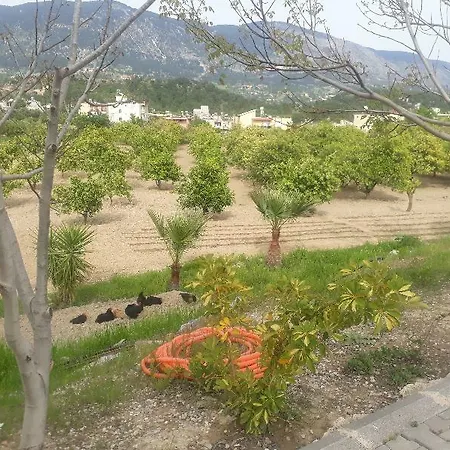 Maniola Hotel Manavgat